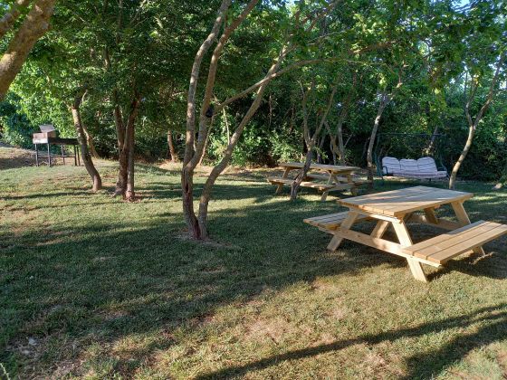 Tenuta San  Felice - foto 10
